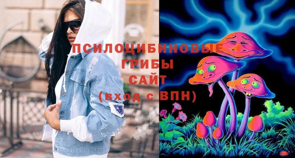 не бодяженный Алексин